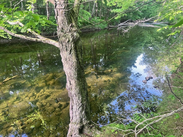 LOT039-E Pond Rd, Wilton, ME 04294