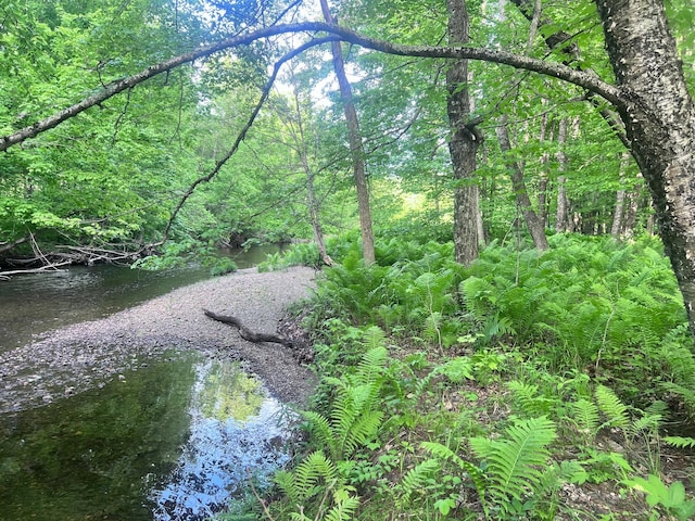 LOT039-E Pond Rd, Wilton, ME 04294