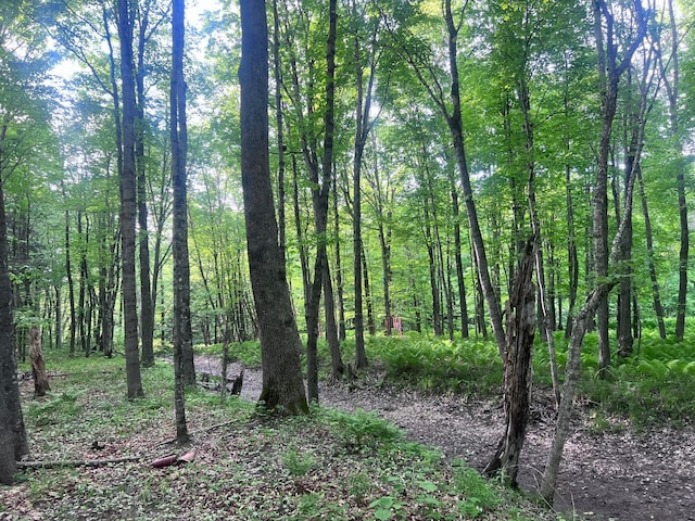 LOT039-E Pond Rd, Wilton, ME 04294