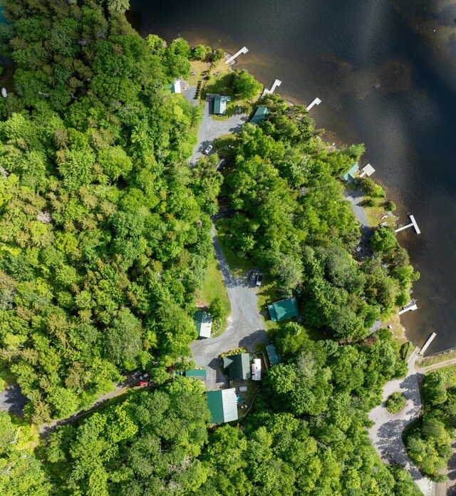 15 Wilson Pond Rd (Rum Pond), Unit Rum Pond Greenville, ME 04441 - photo 21