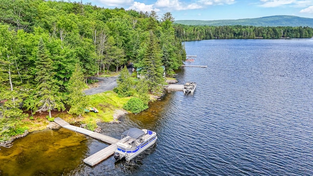 15 Wilson Pond Rd (Rum Pond), Unit Rum Pond Greenville, ME 04441 - photo 30