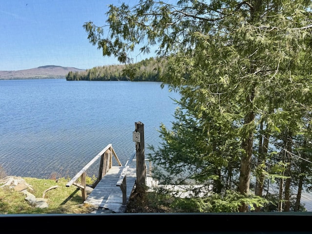 15 Wilson Pond Rd (Rum Pond), Unit Rum Pond Greenville, ME 04441 - photo 4