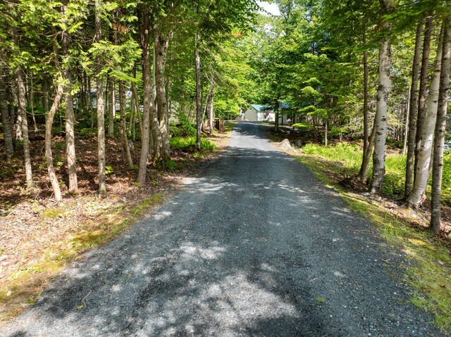 15 Wilson Pond Rd (Rum Pond), Unit Rum Pond Greenville, ME 04441 - photo 26