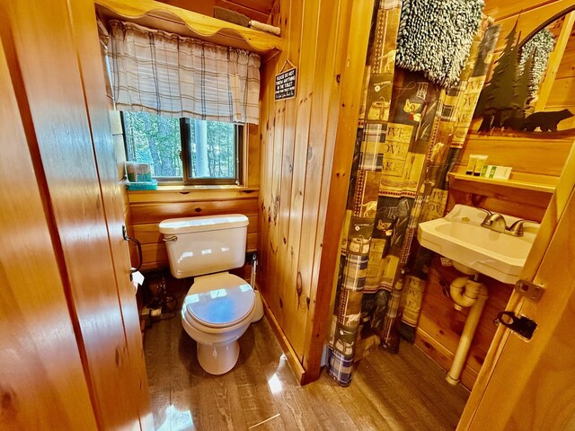 15 Wilson Pond Rd (Rum Pond), Unit Rum Pond Greenville, ME 04441 - photo 20