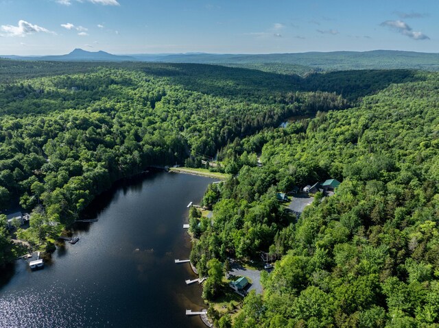 15 Wilson Pond Rd (Rum Pond), Unit Rum Pond Greenville, ME 04441 - photo 28