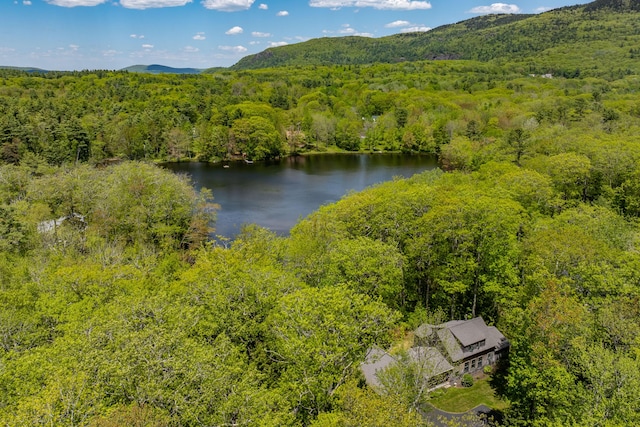 337 Washington St, Camden, ME 04843 - drone / aerial view of a forest and a water and mountain view