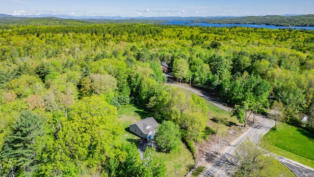 175 Lake House Rd, Naples, ME 04055 - bird's eye view of a heavily wooded area and a water and mountain view