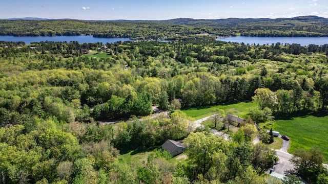 175 Lake House Rd, Naples, ME 04055 - aerial overview of property's location featuring a forest and a water and mountain view