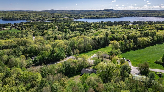 175 Lake House Rd, Naples, ME 04055 - aerial view of property's location with a water and mountain view and a heavily wooded area