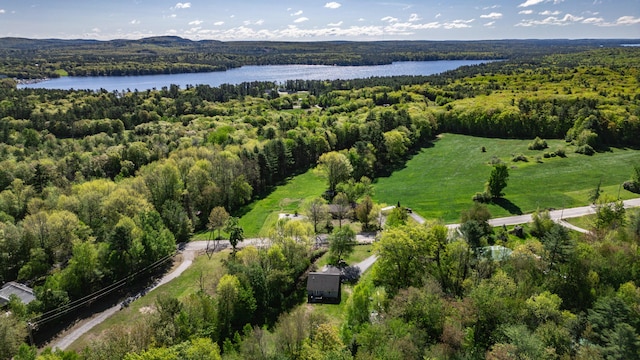 175 Lake House Rd, Naples, ME 04055 - aerial view of a forest and a nearby body of water