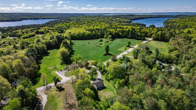 175 Lake House Rd, Naples, ME 04055 - aerial overview of property's location featuring a forest and a large body of water