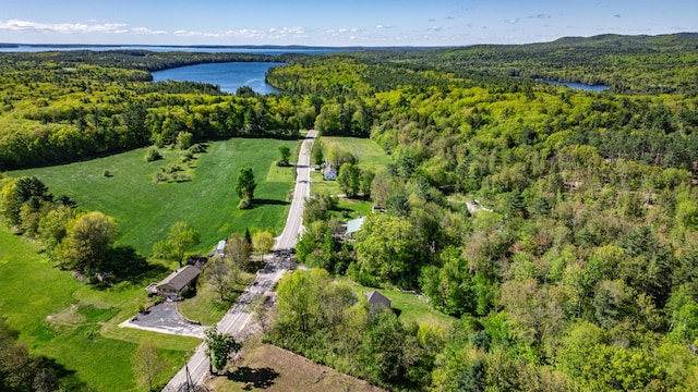 175 Lake House Rd, Naples, ME 04055 - view of property location with a forest and a nearby body of water