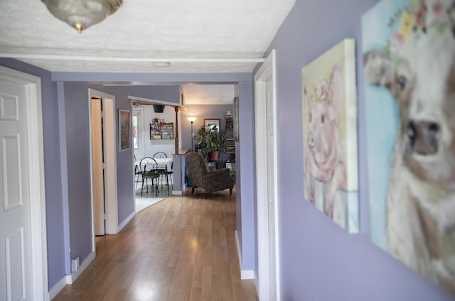 15 Lucille St, Saco, ME 04072 - corridor featuring wood finished floors and baseboards