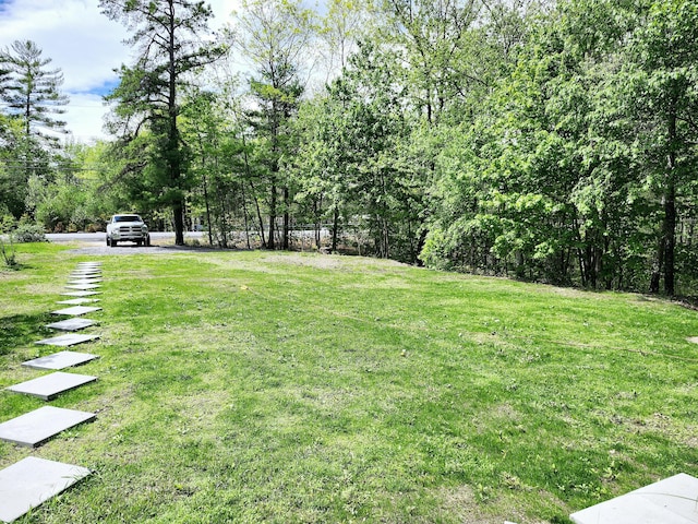567 Ossipee Trl W, Standish, ME 04084 - view of green lawn
