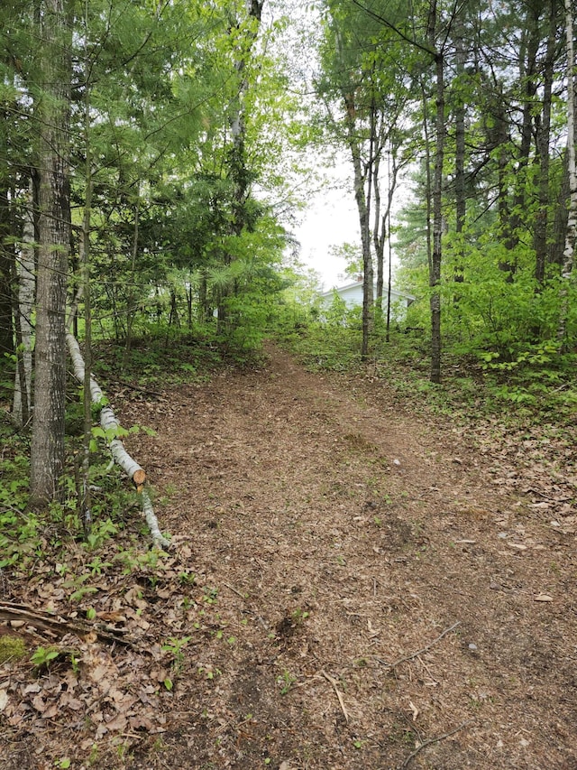 567 Ossipee Trl W, Standish, ME 04084 - view of tree filled area