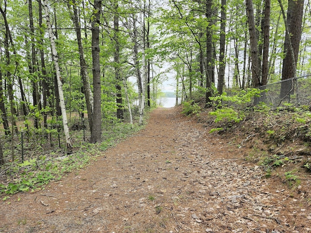 567 Ossipee Trl W, Standish, ME 04084 - view of road