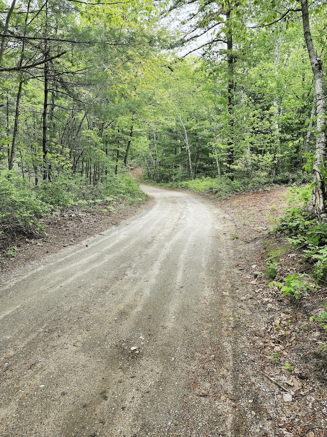 567 Ossipee Trl W, Standish, ME 04084 - view of dirt / gravel road with a forest view