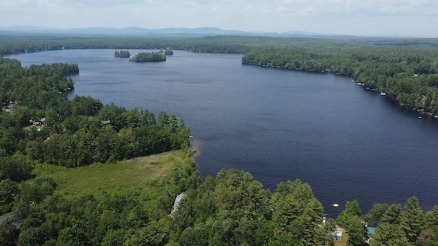 567 Ossipee Trl W, Standish, ME 04084 - photo 19