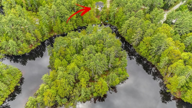 4 Dragonfly Cir, Limerick, ME 04048 - aerial view of a large body of water