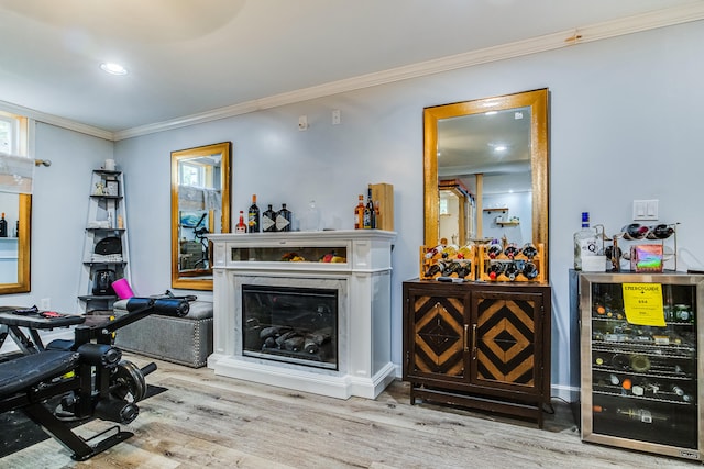 4 Dragonfly Cir, Limerick, ME 04048 - living area featuring beverage cooler, wood finished floors, ornamental molding, recessed lighting, and a premium fireplace