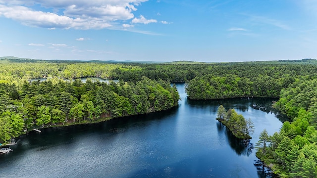 4 Dragonfly Cir, Limerick, ME 04048 - bird's eye view of a forest and a large body of water