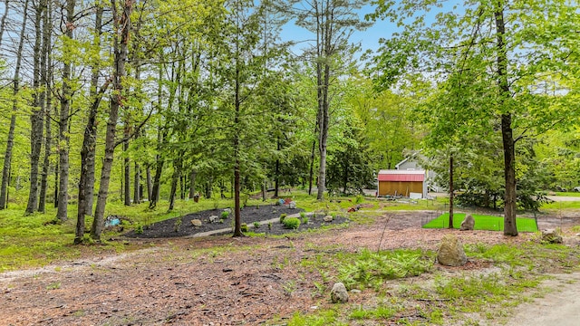 4 Dragonfly Cir, Limerick, ME 04048 - view of yard