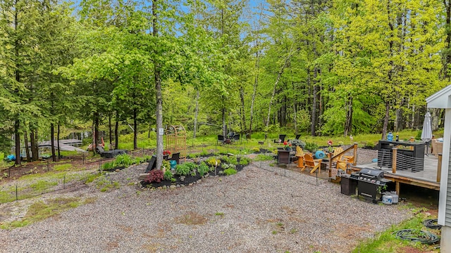 4 Dragonfly Cir, Limerick, ME 04048 - view of yard