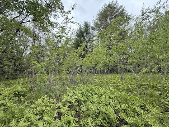 LOTS18 Mohawk Rd, Enfield, ME 04493