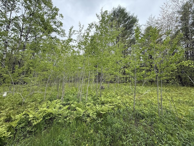 LOTS18 Mohawk Rd, Enfield, ME 04493