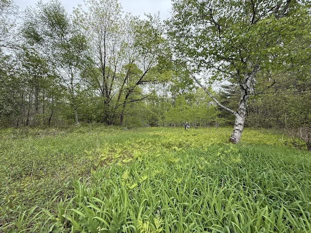LOTS18 Mohawk Rd, Enfield, ME 04493