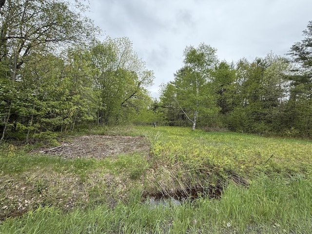 LOTS18 Mohawk Rd, Enfield, ME 04493