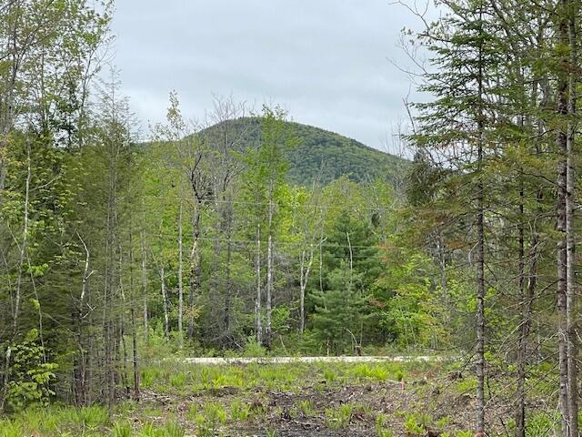 LOT11-A Misty Ln, Brownfield, ME 04010