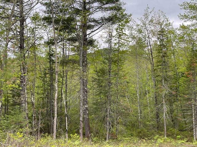 LOT11-A Misty Ln, Brownfield, ME 04010