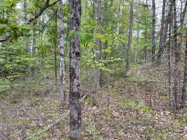 LOT11-A Misty Ln, Brownfield, ME 04010