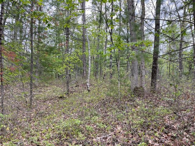 LOT11-A Misty Ln, Brownfield, ME 04010