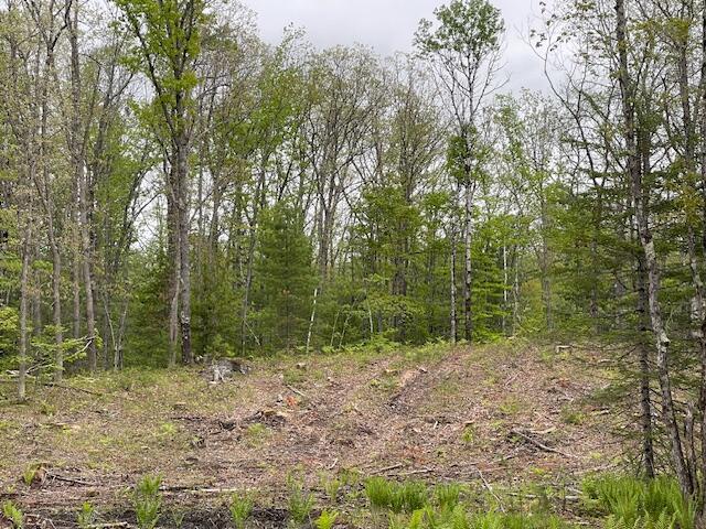 LOT11-A Misty Ln, Brownfield, ME 04010