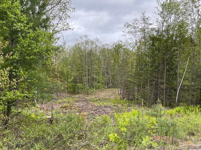 LOT11-A Misty Ln, Brownfield, ME 04010