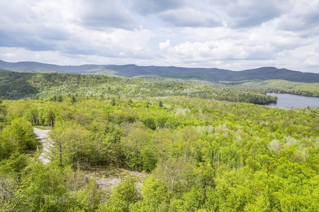 78 Stevens Rd, Stoneham, ME 04231 - photo 3