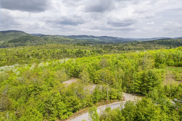 78 Stevens Rd, Stoneham, ME 04231 - photo 4