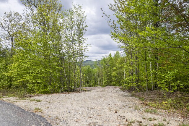 78 Stevens Rd, Stoneham, ME 04231 - photo 7