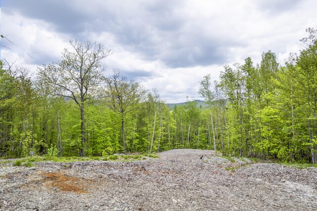 78 Stevens Rd, Stoneham, ME 04231 - photo 8