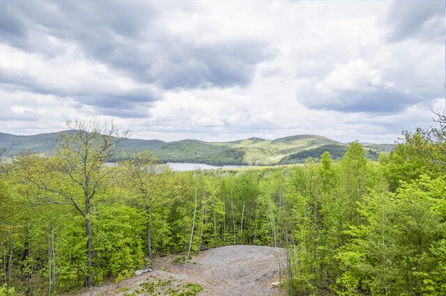 78 Stevens Rd, Stoneham, ME 04231 - photo 9