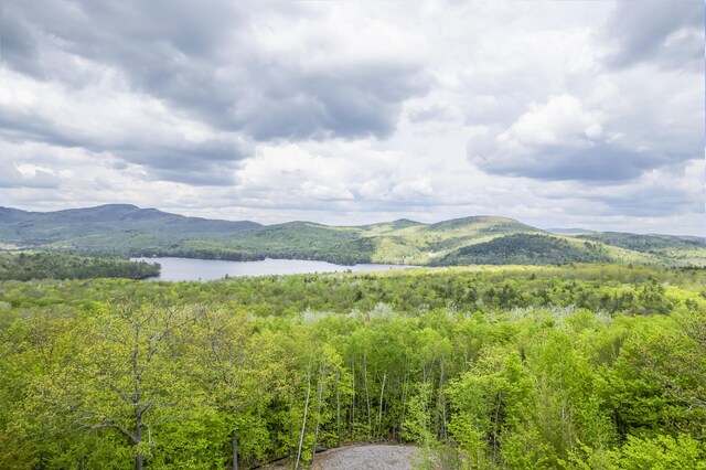 78 Stevens Rd, Stoneham, ME 04231 - photo 10