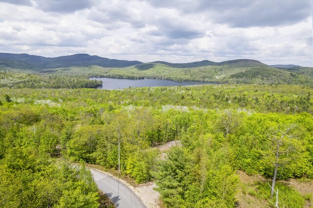 78 Stevens Rd, Stoneham, ME 04231 - photo 13