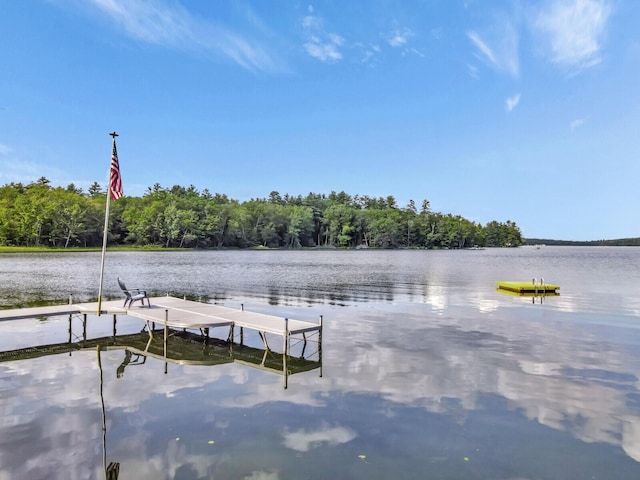 103 Taylor Woods Rd, Belgrade, ME 04917 - dock with a water view and a view of trees