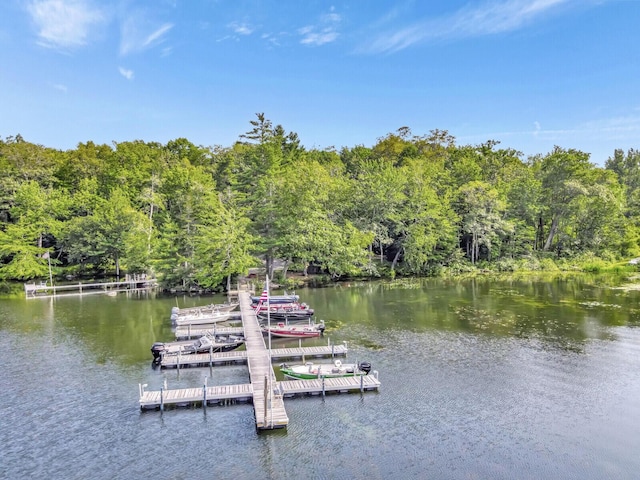 103 Taylor Woods Rd, Belgrade, ME 04917 - dock featuring a water view and a view of trees