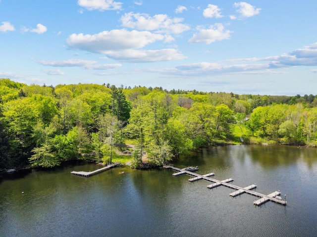 103 Taylor Woods Rd, Belgrade, ME 04917 - water view featuring a heavily wooded area and a boat dock