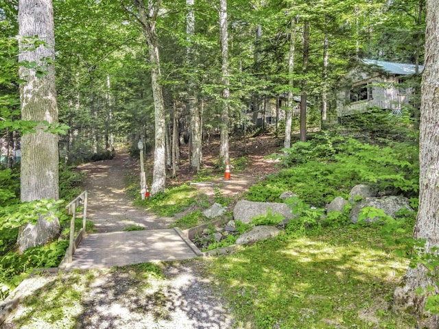 103 Taylor Woods Rd, Belgrade, ME 04917 - view of yard