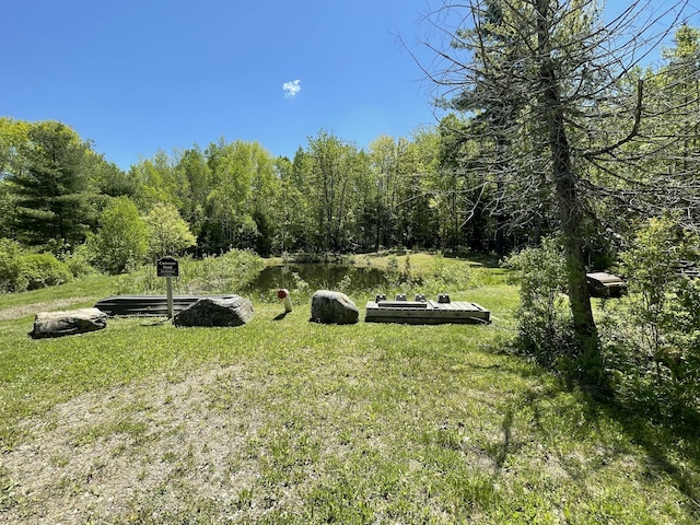 M8L11-1 Fowles Rd, Searsmont, ME 04973 - photo 1