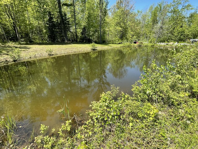 M8L11-1 Fowles Rd, Searsmont, ME 04973 - photo 4